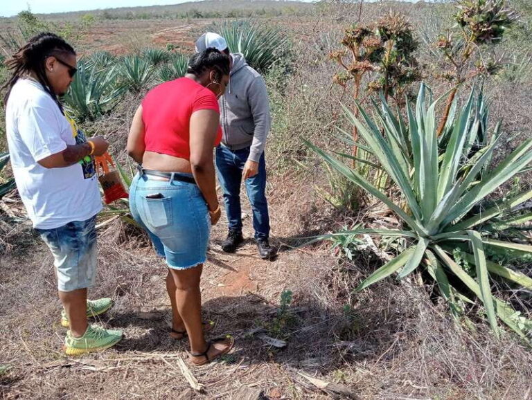Mazatlan: Mezcal Factory Tour with Tasting and Lunch - Authentic Experiences and What We Loved