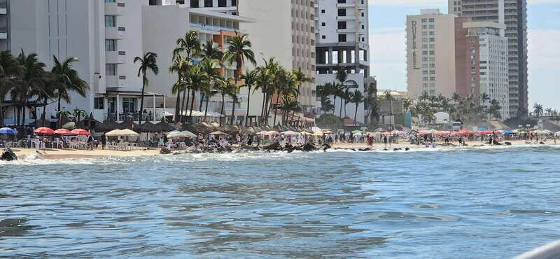 Mazatlan: Sea lions and snorkeling - Who Would Enjoy This Tour?