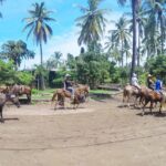 Mazatlan Sightseeing and Beach All Inclusive - Transportation and Group Dynamics