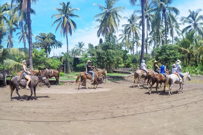 Mazatlan Sightseeing and Beach All Inclusive - Transportation and Group Dynamics