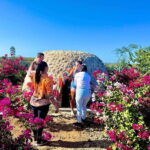 Mazatlan: Temazcal Experience with Lunch and Transportation - Authenticity and Value: What Travelers Say