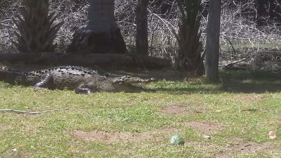 Mazunte-Ventanilla and Zipolite Ecotour - Transportation, Timing, and Practicalities