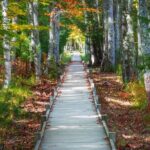 MDI Private Discovery Tour - Explore Beyond Acadia (five hours) - Considering the Price and Value