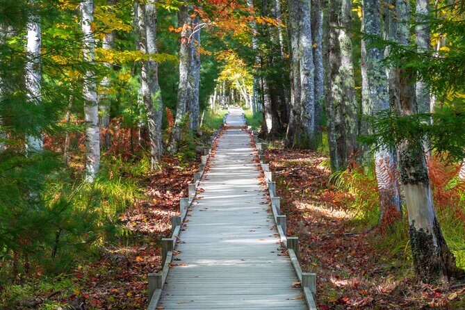 MDI Private Discovery Tour - Explore Beyond Acadia (five hours) - Considering the Price and Value