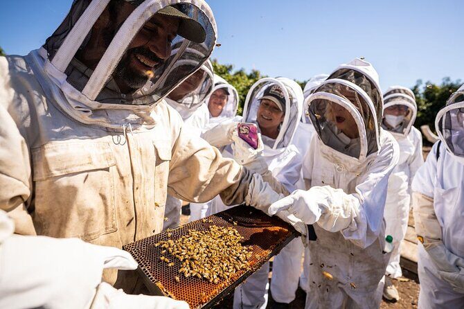 Meet the Bees Guided Apiary Tour and Honey Tasting - The Value of the Experience