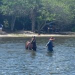Melbourne: 2-Hour Dolphin & Manatee River Tour - A Closer Look at the Tour Experience