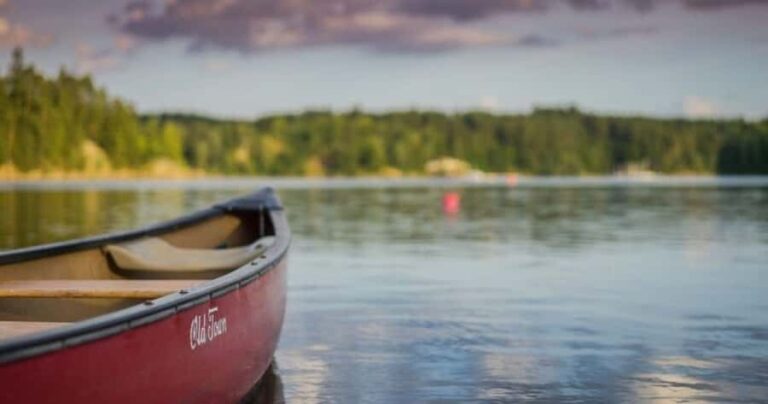 Memorial Beach: Lake Massapoag Canoe Rental - Why This Tour Is Worth It