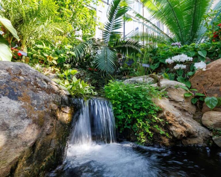 Memphis Botanic Garden Entry Ticket - Who Should Visit Memphis Botanic Garden?