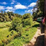Mendocino County: Skunk Train Pudding Creek Train Ride - Who Will Love This Tour?