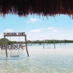 Mérida: Beach tour and restaurant with ocean view with a local guide - The Breakdown of the Experience