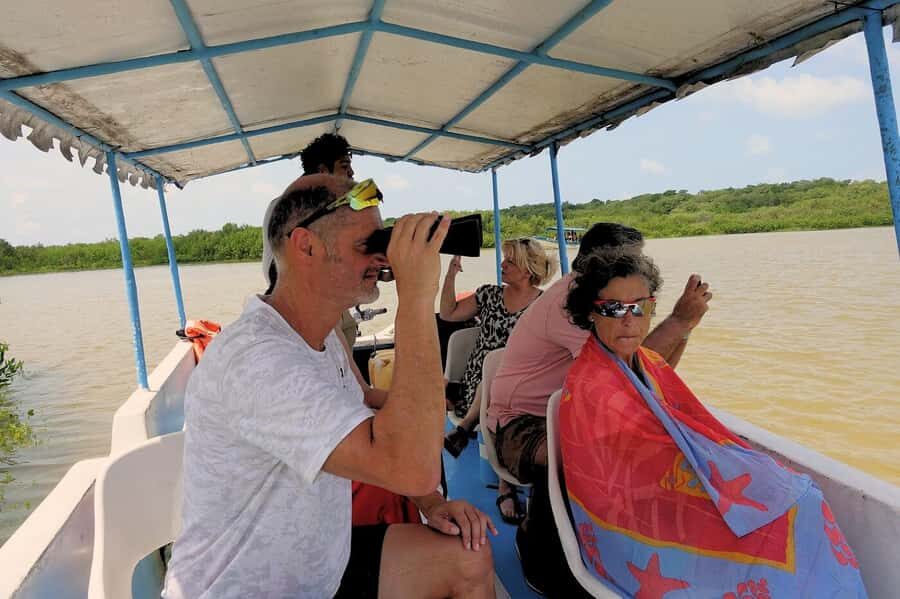 Mérida: Celestun Mangrove Boat Tour with Lunch - Practical Details & Considerations