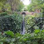 Merida: Cenotes Hacienda Mucuyché And Uxmal - The Itinerary in Detail