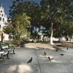 Mérida: City Highlights Guided Walking Tour - Why This Tour Offers Great Value