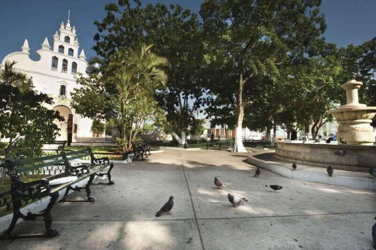 Mérida: City Highlights Guided Walking Tour - Why This Tour Offers Great Value