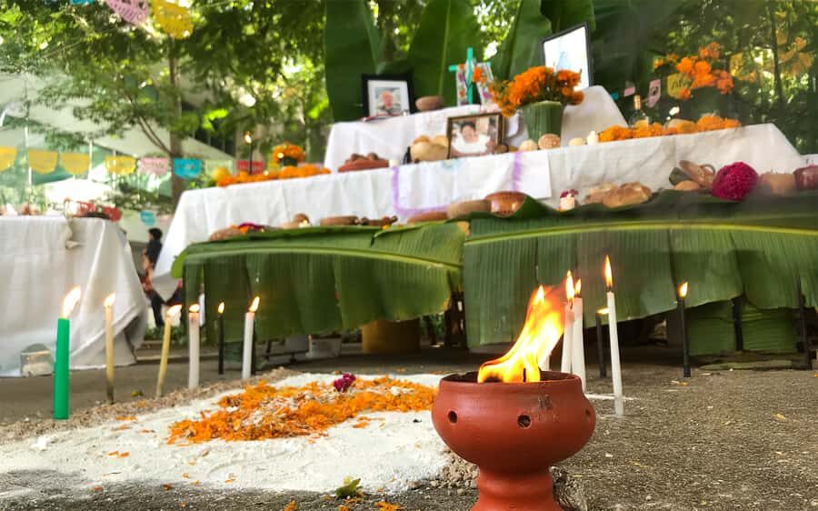 Mérida: Day of the Dead Cooking Experience - Practical Details & Logistics