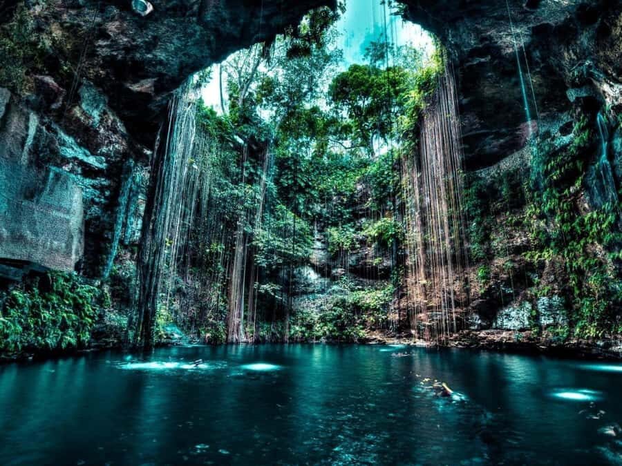 Merida: Explore With The One You Love, Day trip to Cenotes. - What You Can Expect on This Tour