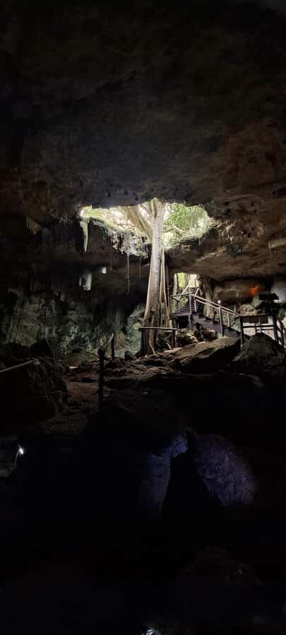 Merida: Hacienda Kampepen & Cenotes with Lunch & Pickup - Why This Tour Offers Good Value
