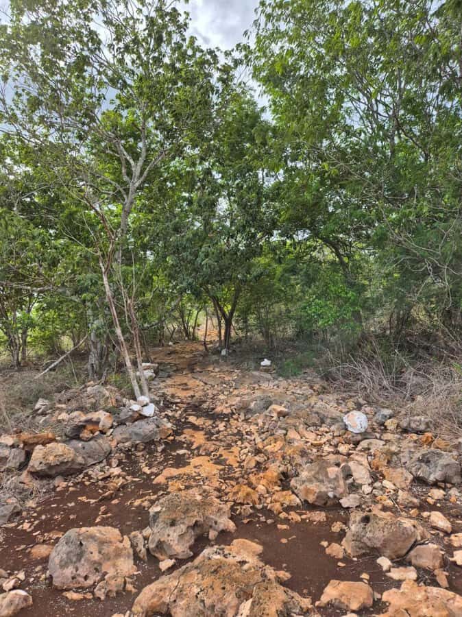 Merida: Hiking, Caving and Bat Watching Tour in the Yucatan - Practical Details and What to Bring