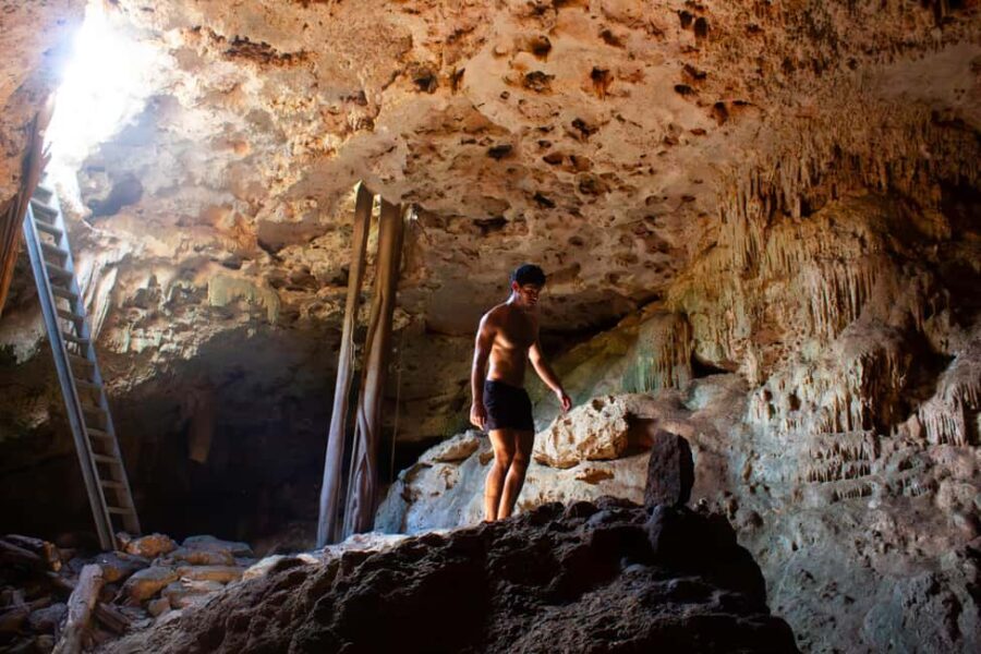 Mérida: Jungle & Cenotes Tour with Horseriding & Lunch - Cenotes: Refreshing Natural Wonders
