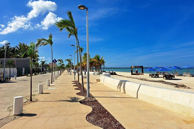 Merida Shuttle to Puerto Progreso with Free Time - Deep Dive into the Itinerary