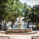 Mérida: Yucatan Flavours Food Tour with 15+ Tastings - Who Will Love This Tour?