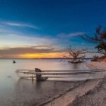 Merritt Island: Clear Kayak Wildlife Tour in National Refuge - Why This Tour Is a Great Choice