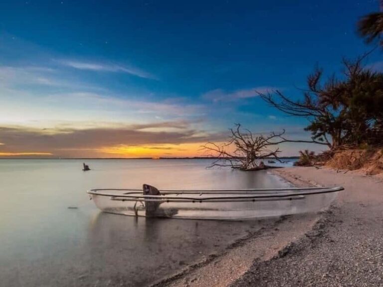 Merritt Island: Clear Kayak Wildlife Tour in National Refuge - Why This Tour Is a Great Choice