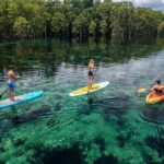 Merritts Mill Pond Eco Adventure - What the Reviews Say