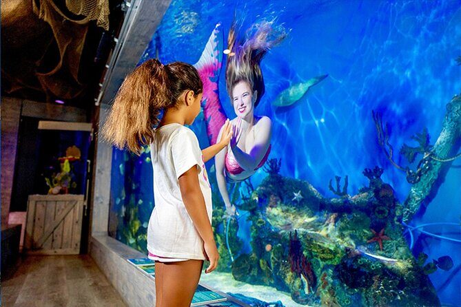 Mertailor's Mermaid Aquarium Encounter General Admission - Who Is This Tour Best For?