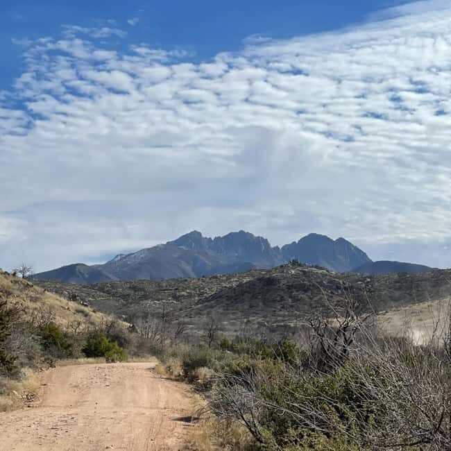 Mesa, AZ: Four Peaks Wilderness Off-Road Tour with Lunch - A Deep Dive into the Off-Road Adventure
