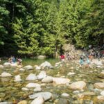 Mesmerizing Nature Walk in Lynn Canyon Park - The Itinerary in Detail
