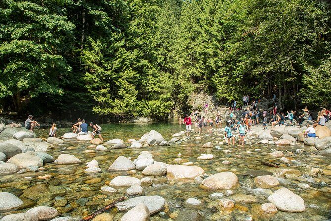 Mesmerizing Nature Walk in Lynn Canyon Park - The Itinerary in Detail