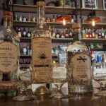 Mexican Spirits Tasting: Experience the Essence of Tradition - The Value of a Short But Rich Experience