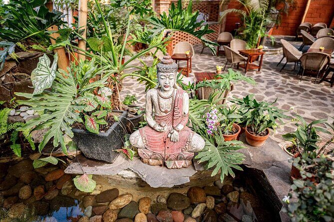 Mexican Wine Tasting Experience - The Experience: Pros and Cons