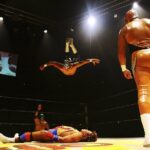 Mexican Wrestling: Experience Lucha Libre in Mexico City - Analyzing the Value