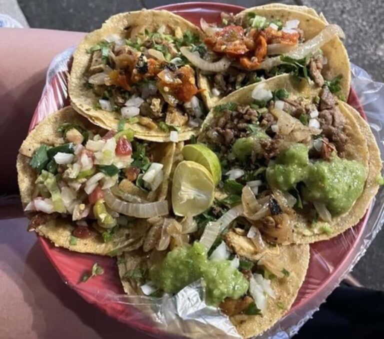 Mexico : Best Street Food Tour With A Local Guide - Final Thoughts: Who Will Love This Tour?