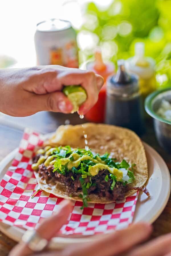 Mexico City: 10+ Tastings & Local Gems with Sherpa Food Tour - Exploring Roma Norte’s Culinary Highlights