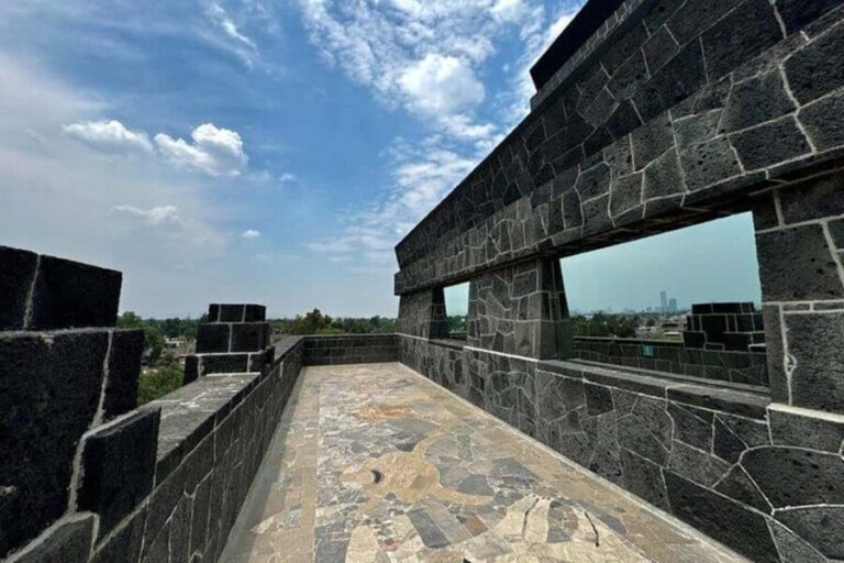 Mexico City: Anahuacalli Museum Entry Ticket and Guided Tour - Who Will Love This Tour?