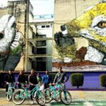 Mexico City; ART NACO : Murals & Street Art Bike Tour - Why This Tour Works Well