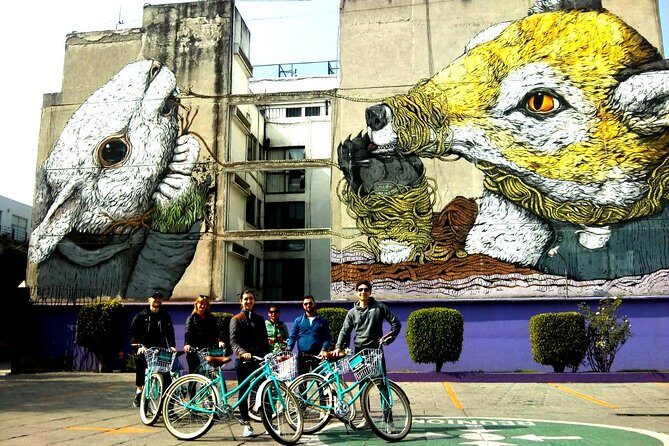 Mexico City; ART NACO : Murals & Street Art Bike Tour - Why This Tour Works Well