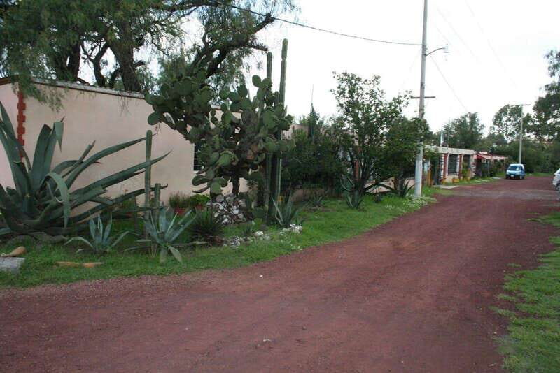 Mexico City: Basilica and Teotihuacan Pyramids Tour - The Itinerary in Detail