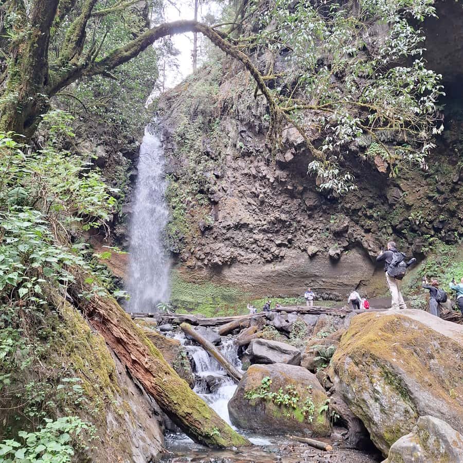 Mexico City: Bubble Waterfall Private Hike with Pickup - What visitors are saying