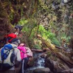 Mexico City: Cascada de Hueyapan Private Hiking Tour - What to Expect from Your Day