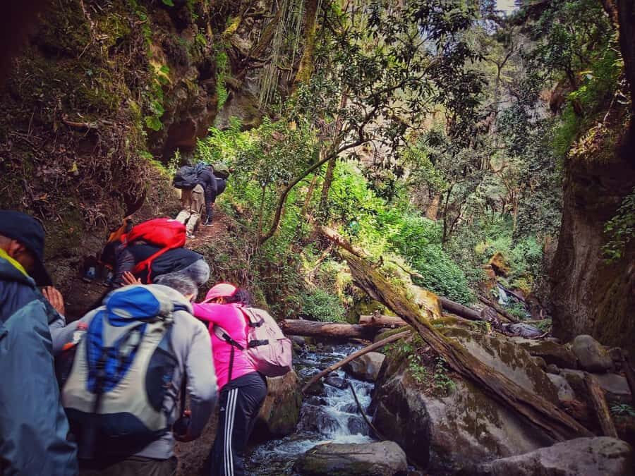 Mexico City: Cascada de Hueyapan Private Hiking Tour - What to Expect from Your Day