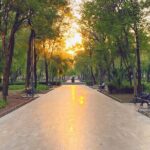 Mexico City Centro Historico Private Tour - Who Will Love This Tour?