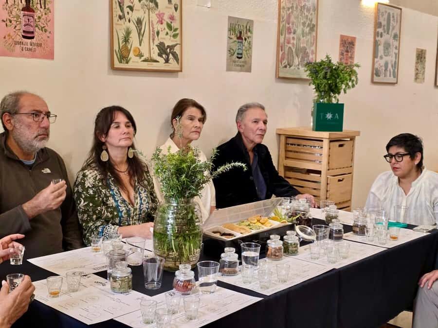 Mexico City: Cocktails Tasting, Lucha Libre & Tacos - What We Think Overall