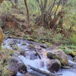 Mexico City: Diamond Waterfall Private Hiking Tour - What Travelers Say