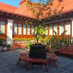 Mexico City: Entrance to the Frida Kahlo Museum, Anahuacalli Museum, and Casa Kahlo - Discovering the Museums: What You Can Expect