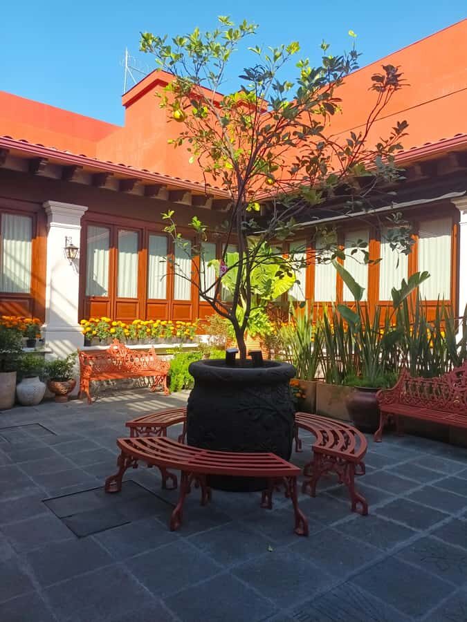 Mexico City: Entrance to the Frida Kahlo Museum, Anahuacalli Museum, and Casa Kahlo - Discovering the Museums: What You Can Expect