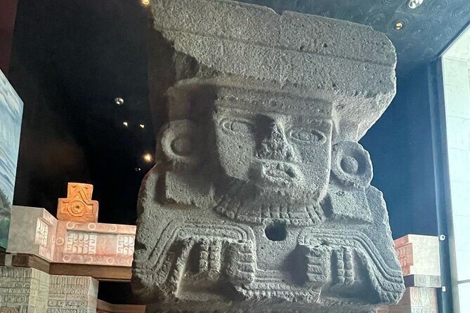 Mexico City Express - Authentic Insights from Past Travelers
